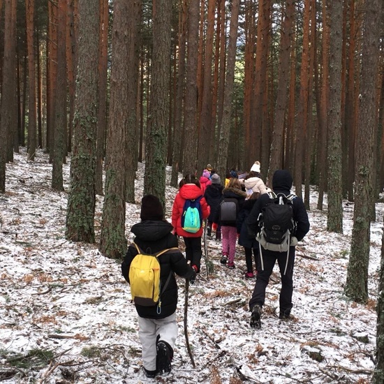 4ºC de Senderismo en la Boca del Asno_CEIP FDLR_Las Rozas 1
