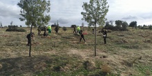 Plantación en el parque forestal de Valdebebas 2019 2