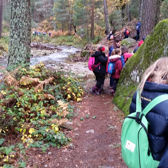 MANZANARES EL REAL 19