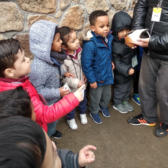 Granja de los Cuentos Infantiles I 3