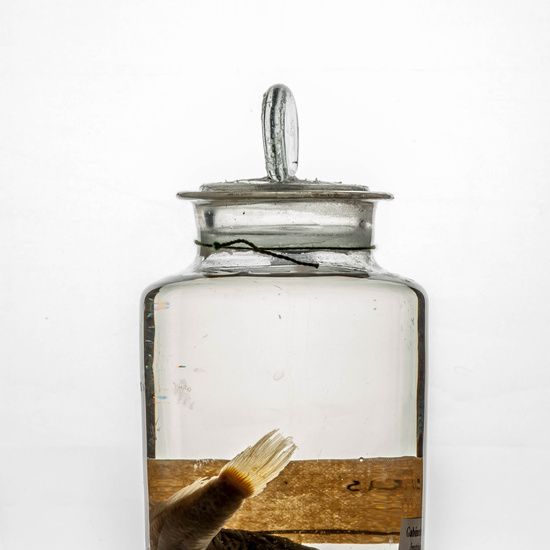 IES_CARDENALCISNEROS_CIENCIASNATURALES_401