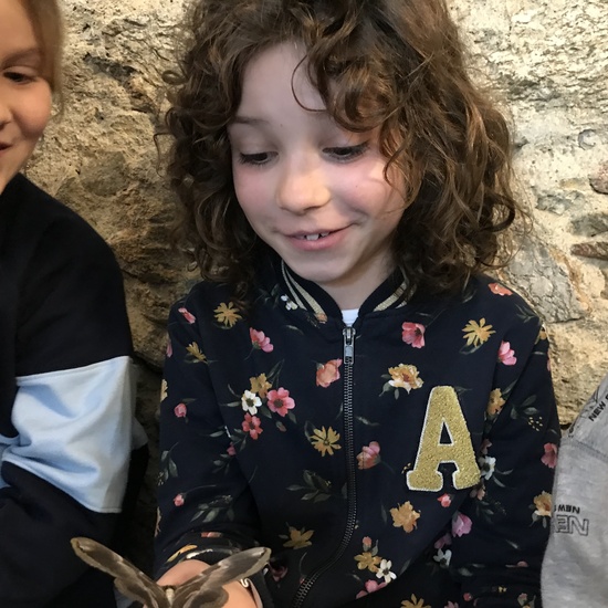 2020_02_27_3º visita Insectpark (5)_CEIP FDLR_Las Rozas 14