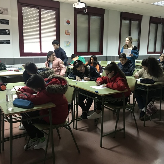 Talleres de Matemáticas 11