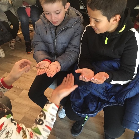 2020_02_27_3º visita Insectpark (1)_CEIP FDLR_Las Rozas 13