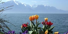 El Lago Ginebra, Montreux, Suiza