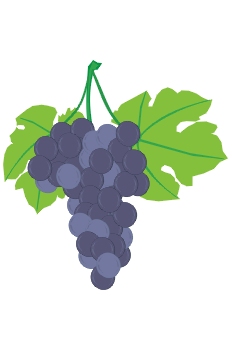 Uvas