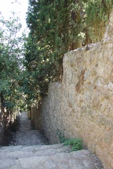 Zona de jardines, Parque Güell, Barcelona