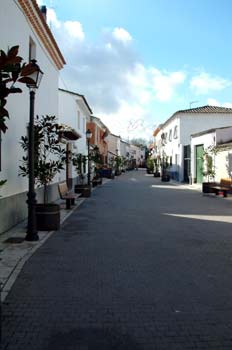 Paseo del Ayuntamiento, Cubas, Madrid