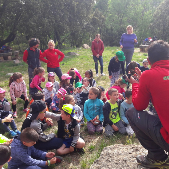 Multiaventura en Torrelaguna 1º Primaria (7 de mayo de 2019) 11