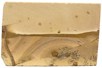 Caliza compacta pulida