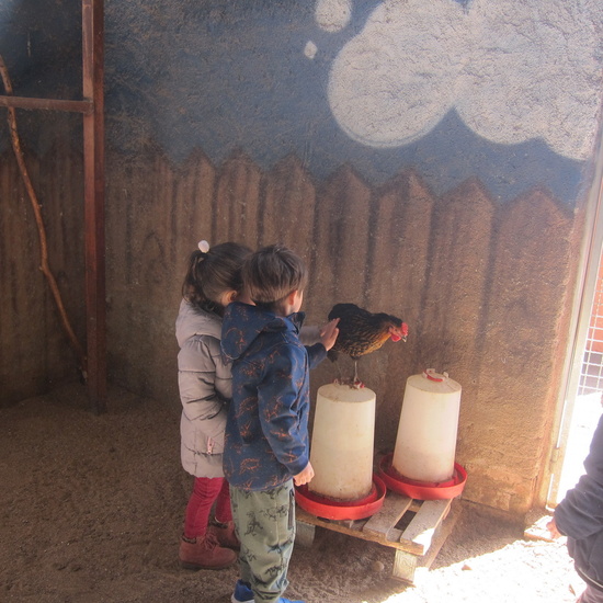 Granja Escuela Educación Infantil Curso 2017-18 46
