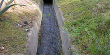 Acequia