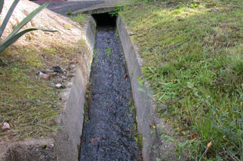 Acequia