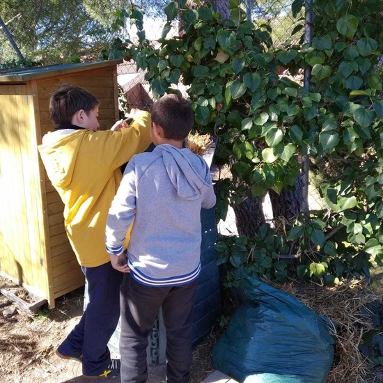 2019_02_24_Quinto termina febrero con las actividades de huerto_CEIP FDLR_Las Rozas_2019 13