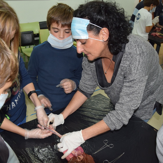 2016_12_02_Diseccion de corazon y pulmones_Sexto 12