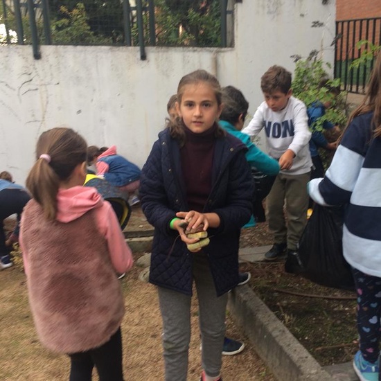 2018_11_CUARTO DISEÑANDO EL JARDIN DE LOS SENTIDOS_CEIP FDLR_LAS ROZAS 9