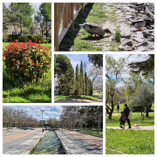 La Alhóndiga Park_collage