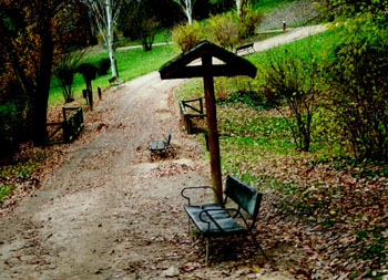 Paisaje de un parque en otoño