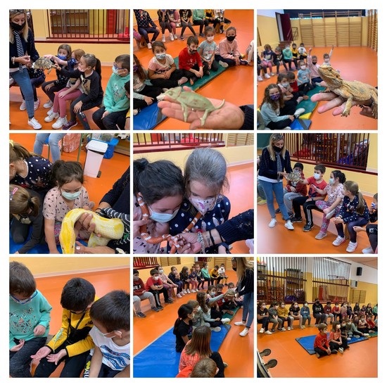 TALLER MEDIOAMBIENTAL 3º PRIMARIA