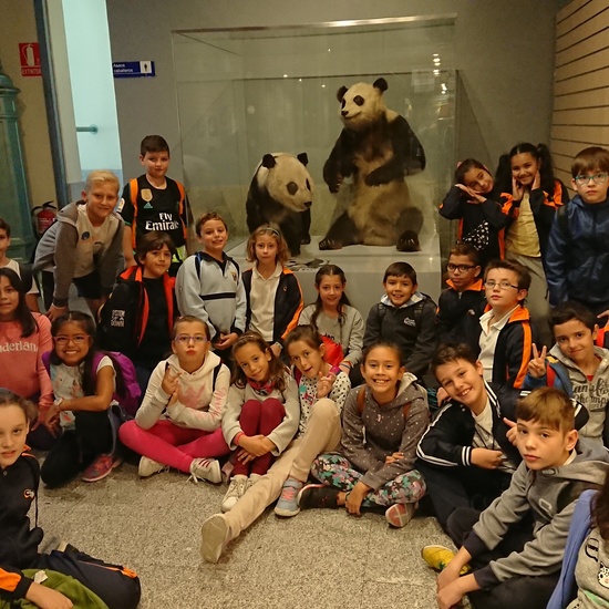 Excursión al museo de ciencias 14