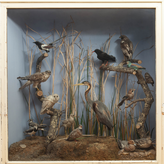 IES_RAMIRODEMAEZTU_BIOLOGIA_052