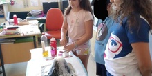 2019_06_La ciencia invade 5º_CEIP FDLR_Las Rozas 3