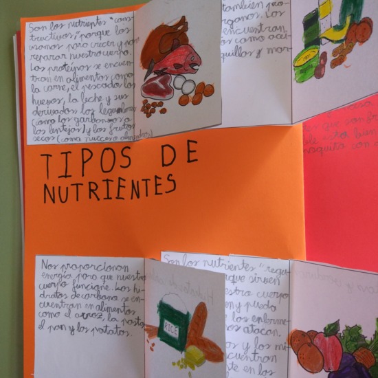 [Lapbook] - Mi atlas del cuerpo humano (3º de primaria) - IMAGEN 9