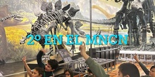 Visita de 2º al MNCN