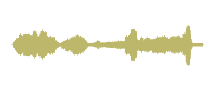 CARNAVAL DE LOS ANIMALES: GALLOS Y GALLINAS