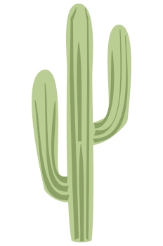 Cactus