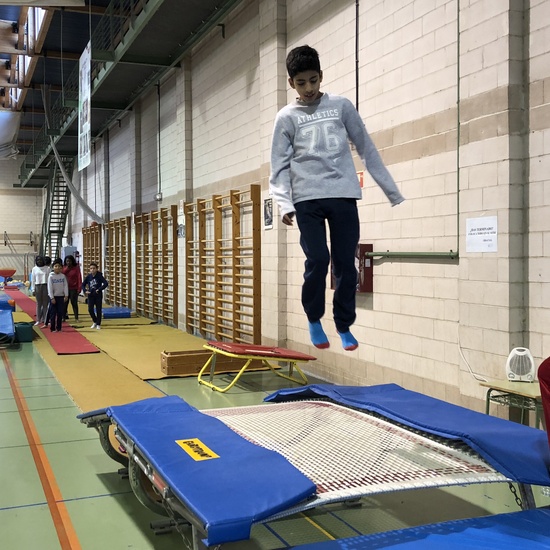 Gimnasia de trampolín 2 15