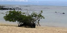 Playa de los Alemanes en la Isla Santa Cruz, Ecuador