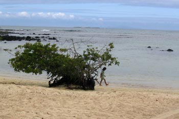 Playa de los Alemanes en la Isla Santa Cruz, Ecuador