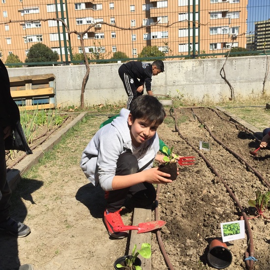El año hortelano de 4º B 39