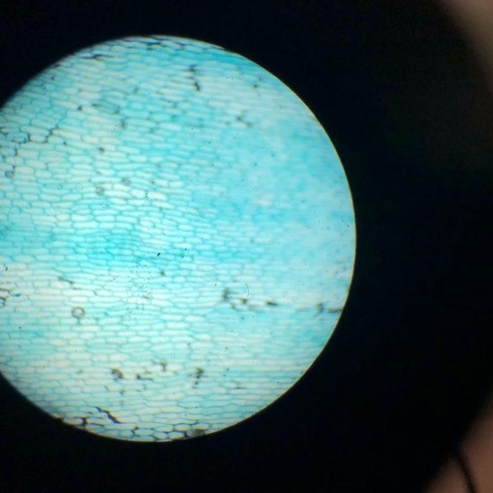 PW 6º IES PARQUE LISBOA 2019-2020 15