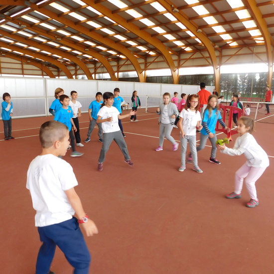 olimpiadas 3º primaria 3