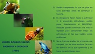 INSTRUCCIONES TAREA 5
