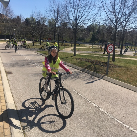 Educación Vial 11/3/2019 18