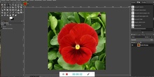 Desaturación de una imagen. GIMP