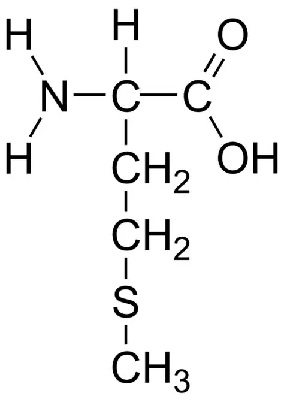 Metionina