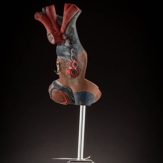 IES_ISABELLACATOLICA_ANATOMIA_054