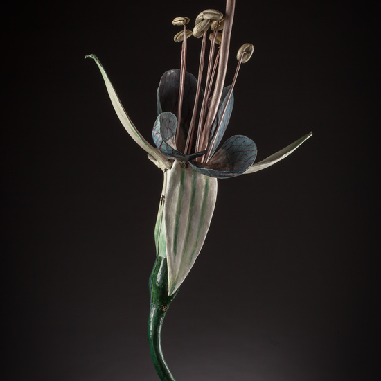 IES_ISABELLACATOLICA_BIOLOGIA_113