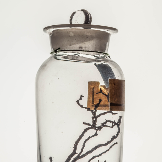 IES_CARDENALCISNEROS_CIENCIASNATURALES_067