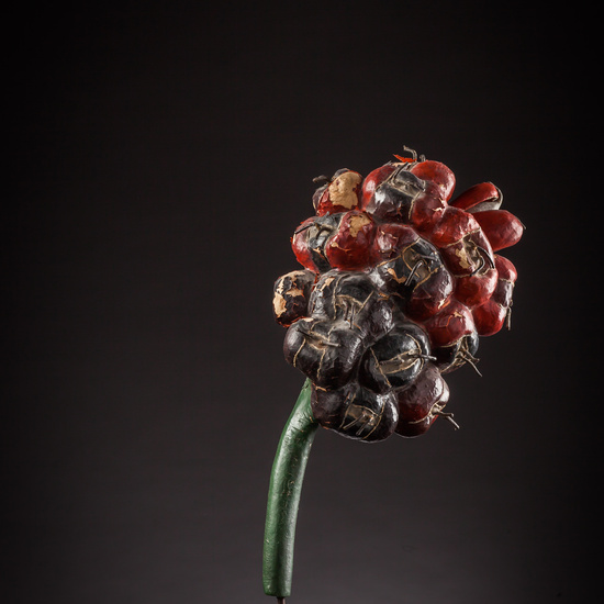 IES_ISABELLACATOLICA_BIOLOGIA_144