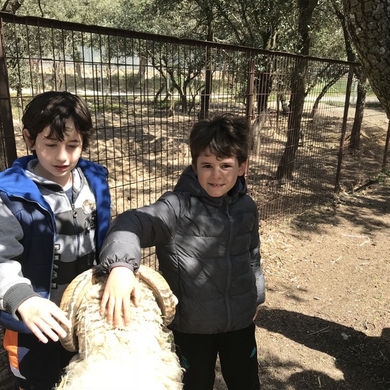 Granja Escuela “El Álamo” 3º y 4º EP_1 39