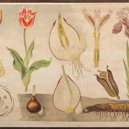 IES_SANISIDRO_LAMINAS_017