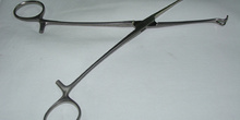 Pinza hemostática Babcock o farolillo