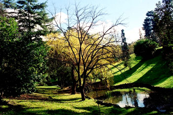 Parque con estanque