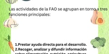 FAO II<span class="educational" title="Contenido educativo"><span class="sr-av"> - Contenido educativo</span></span>