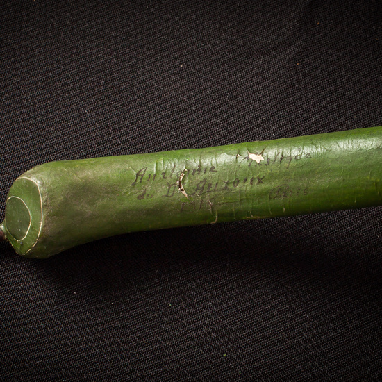 IES_ISABELLACATOLICA_BIOLOGIA_036